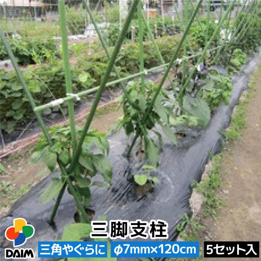 Daim 三脚支柱 F7mm 1cm 5セット 菜園 園芸 支柱 7mm 1cm ガーデニング ガーデニング用品 家庭菜園 メーカー直販 Daim Yahoo 店 通販 Yahoo ショッピング