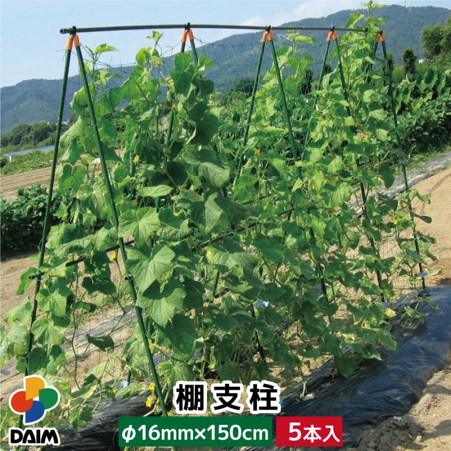 大型 Daim 棚支柱 F16mm 150cm 5本入 園芸 支柱 ジョイント 竹 ガーデニング 用品 家庭菜園 メーカー直販 Daim Yahoo 店 通販 Yahoo ショッピング