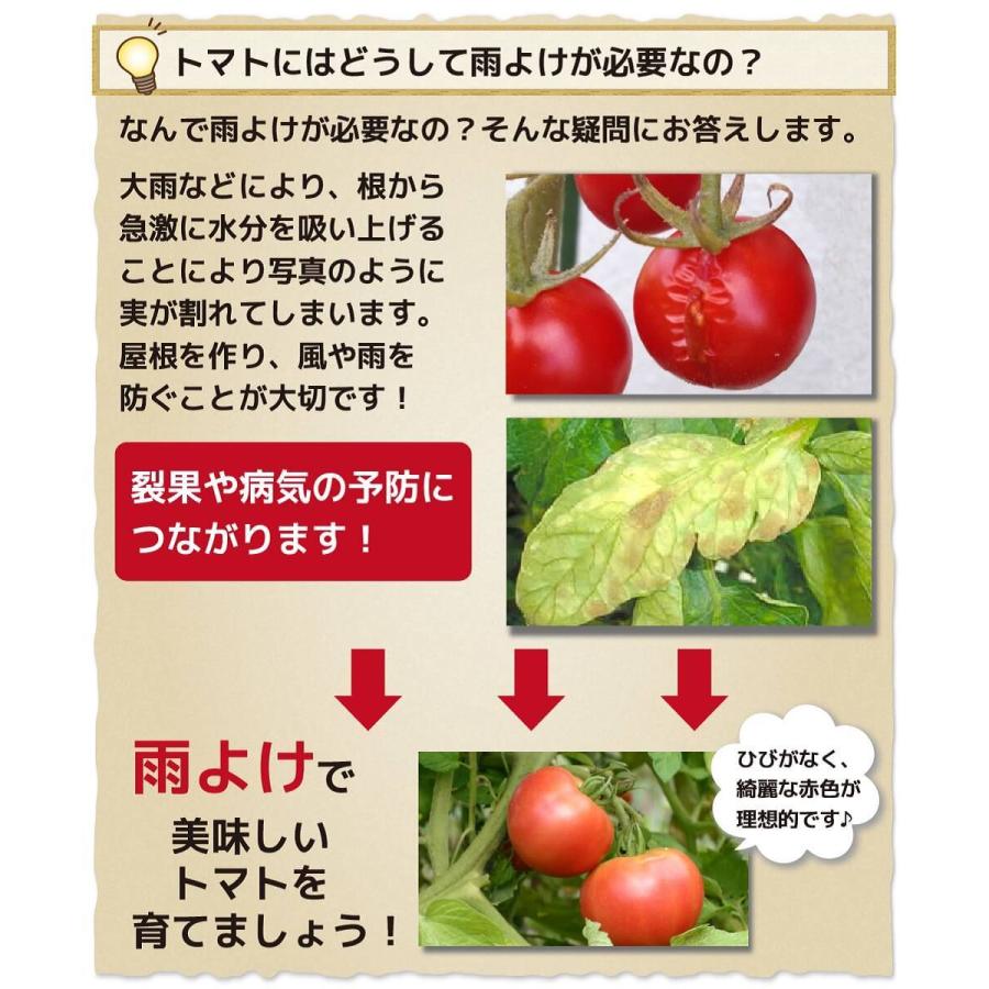 Daim 家庭菜園用 雨よけセット 4セット入 トマト 雨除け 雨よけ 家庭菜園 園芸 野菜作り 栽培 病気予防 ビニール 雨除けハウス 支柱 メーカー直販 Daim Yahoo 店 通販 Yahoo ショッピング