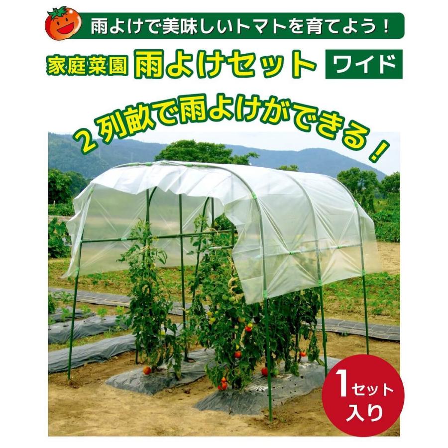 送料無料 Daim 雨よけセット ワイドタイプ 間口190cm 家庭菜園用 小型 トマト 雨よけ 雨除け 霜よけ 防虫 防鳥 園芸 家庭菜園 メーカー直販 Daim Yahoo 店 通販 Yahoo ショッピング
