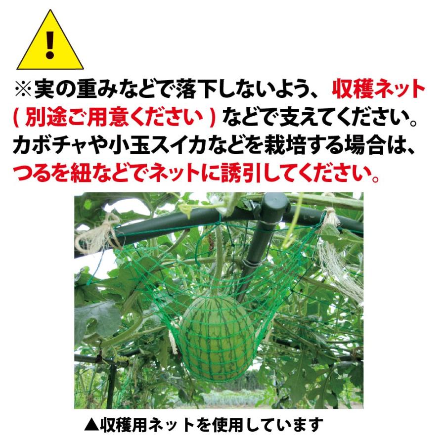 Daim 空中栽培 つる棚セット 1セット入 つる野菜 家庭菜園 支柱 キュウリ ゴーヤ エンドウ 小玉スイカ 小型カボチャ 園芸 用品 地這い栽培 送料無料 メーカー直販 Daim Yahoo 店 通販 Yahoo ショッピング