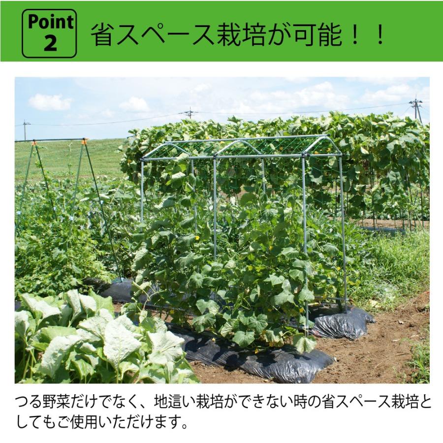 Daim 空中栽培 つる棚セット 1セット入 家庭菜園 キュウリ ゴーヤ エンドウ 小玉スイカ 小型カボチャ 空中栽培 園芸 野菜作り 送料無料 メーカー直販 Daim Yahoo 店 通販 Yahoo ショッピング