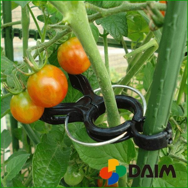 DAIM 茎止め 誘引 茎16mm〜20mm支柱用 20個入 トマト 支柱 クリップ