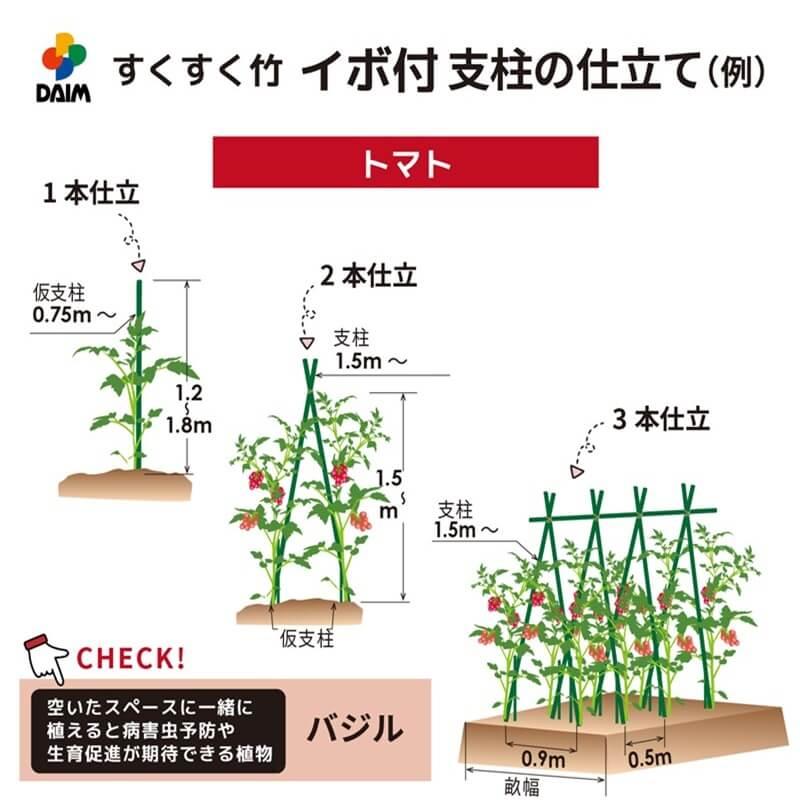 daim すくすく竹 イボ付 50本入 直径16mm 1500mm 園芸 支柱 竹 イボ竹 鋼管 園芸用支柱 野菜 畑 庭 園芸用品 家庭菜園 トマト ピーマン きゅうり 第一ビニール | DAIM | 01