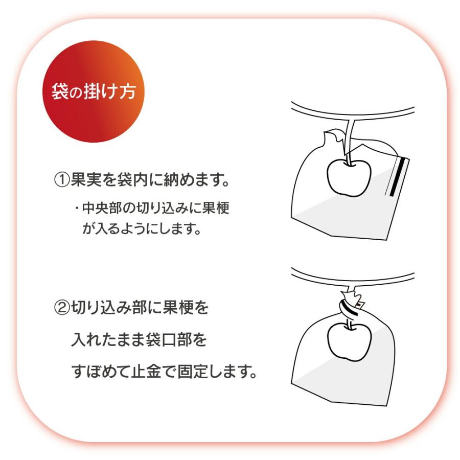 りんごページ 4枚 DAIM daim 果実袋 100枚入 リンゴ 135mm 166mm 果樹用資材 掛け