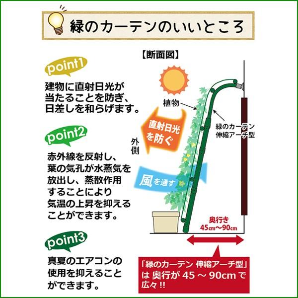 送料無料 Daim 緑のカーテン 伸縮アーチ型 80cm幅 日よけ シート 日除け グリーンカーテン 緑のカーテン アサガオ 朝顔 支柱 メーカー直販 Daim Yahoo 店 通販 Yahoo ショッピング