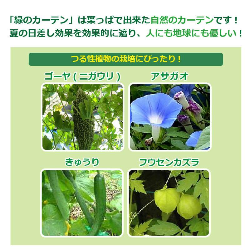 DAIM 緑のカーテン 伸縮アーチ型 180cm幅 日よけ シート 日除け