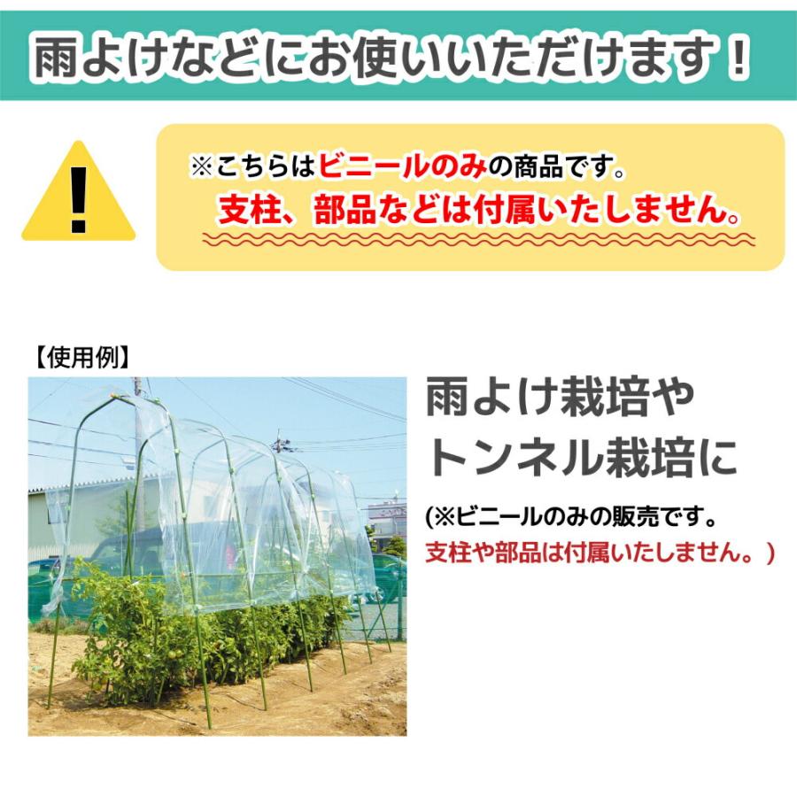 DAIM 家庭菜園用ビニール 0.1mm 300cm 5m カットビニール 畑 庭 菜園