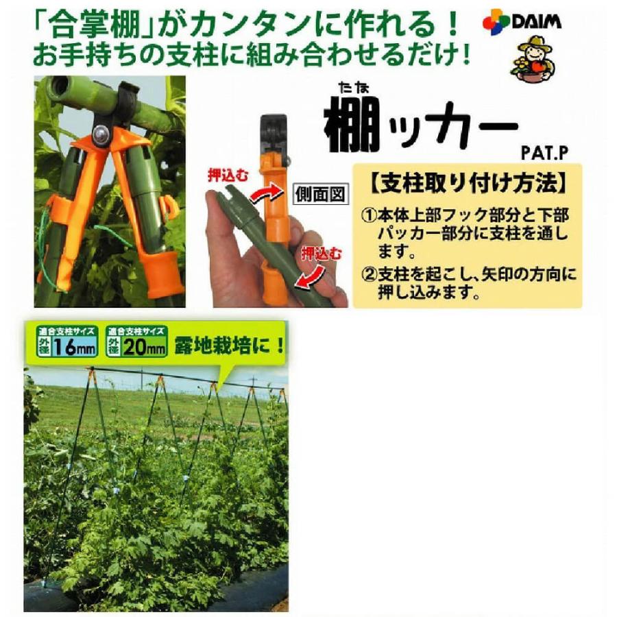 DAIM 棚ッカー 3個入 16mm支柱用 朝顔 支柱 アサガオ 家庭菜園 園芸