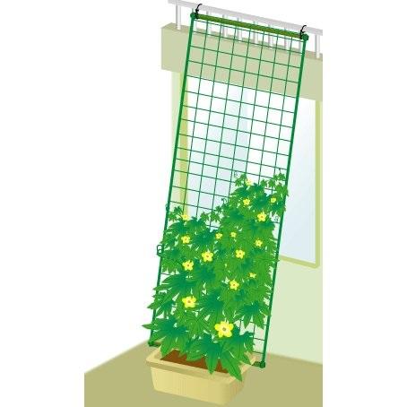 DAIM daim 緑のカーテン 5m 吊下げタイプ ワイド800 80cm幅