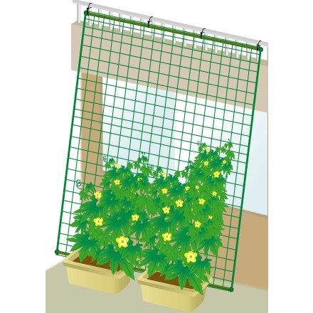 DAIM 緑のカーテン 5m 吊下げタイプ ワイド1800 180cm幅 グリーン