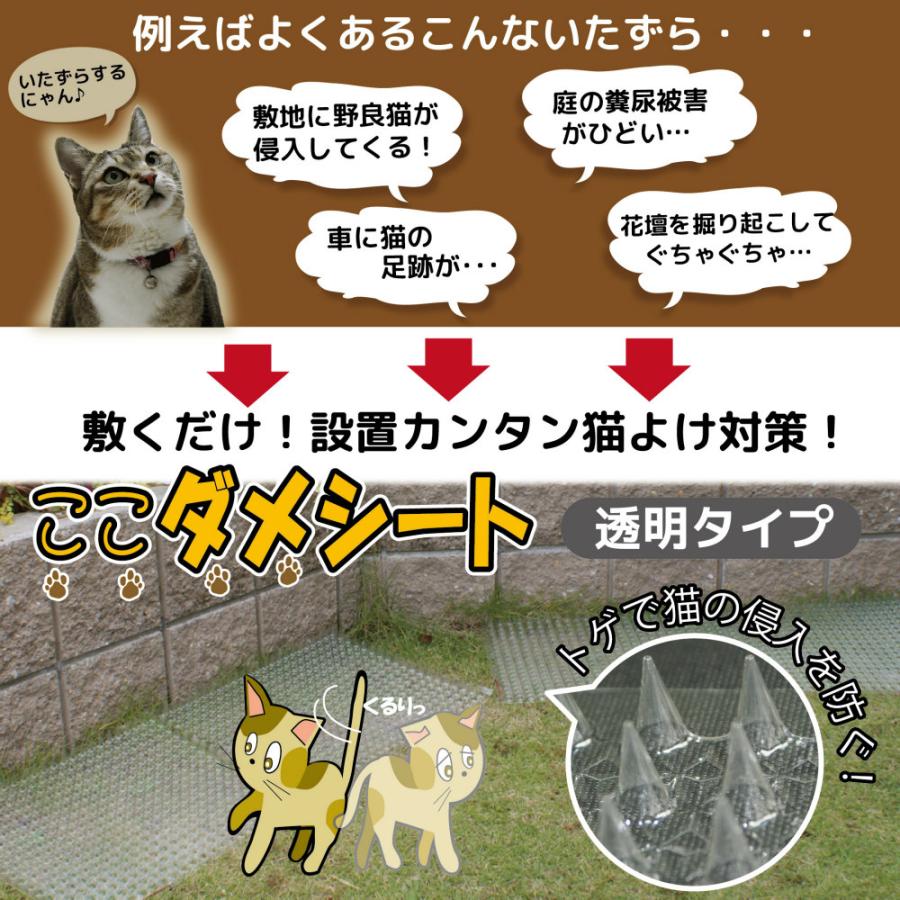 DAIM 猫よけシート 透明 100枚入 トゲトゲ 庭 花壇 ここダメシート