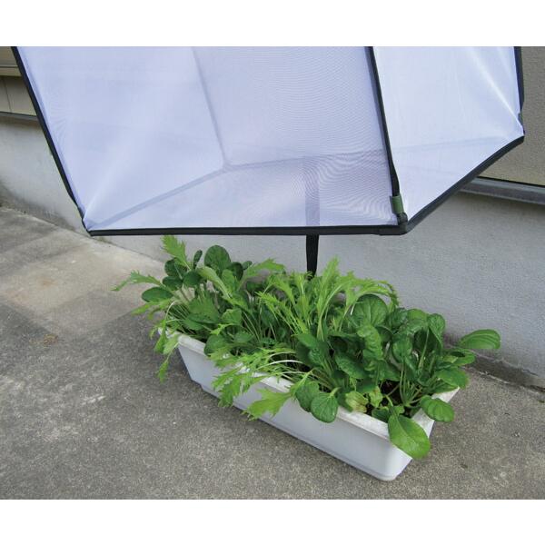 【新品】野外用虫よけ、ケース販売 DAIM すっぽり虫よけカバー 大 75cm 40cm 60cm プランター 防虫 カバー