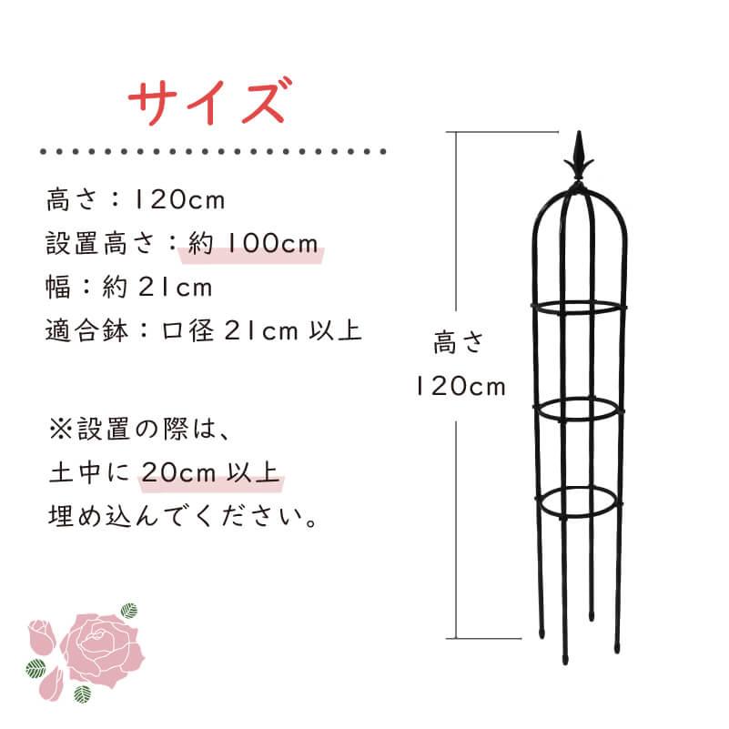 DAIM スモールオベリスク 直径21cm 高さ120cm オベリスク バラ つる