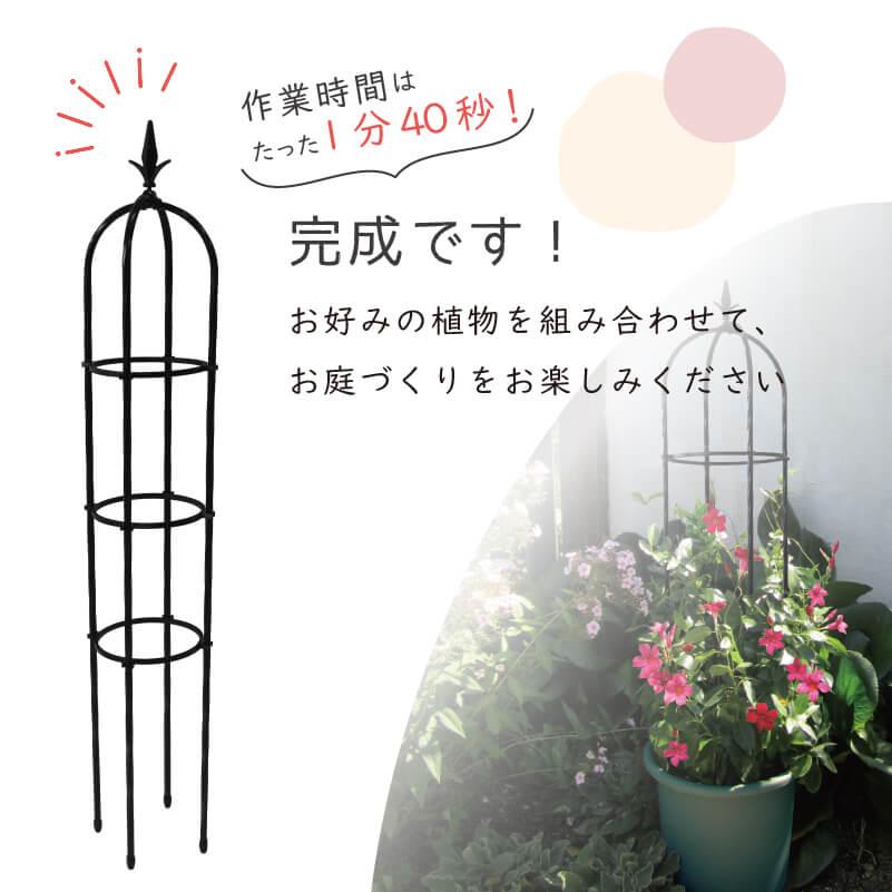 DAIM スモールオベリスク 直径21cm 高さ120cm オベリスク バラ つる