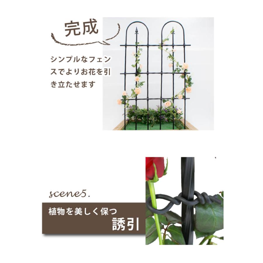 DAIM バラ用フック 薔薇 トレリス バラ ばら 誘引 フェンス 庭 花壇