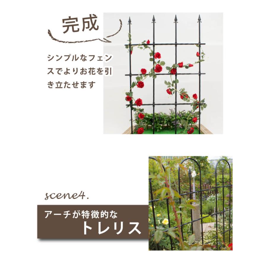 DAIM バラ用 ローズスタイル フック 薔薇 トレリス バラ ばら 誘引