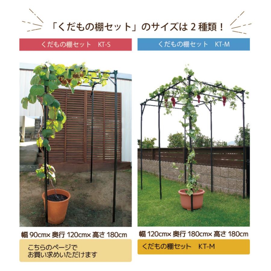 Daim くだもの棚セット Kt S 90 パーゴラ ガーデンアーチ 藤棚 果樹棚 果物棚 ぶどう棚 ブドウ棚 葡萄棚 支柱 送料無料 メーカー直販 Daim Yahoo 店 通販 Yahoo ショッピング