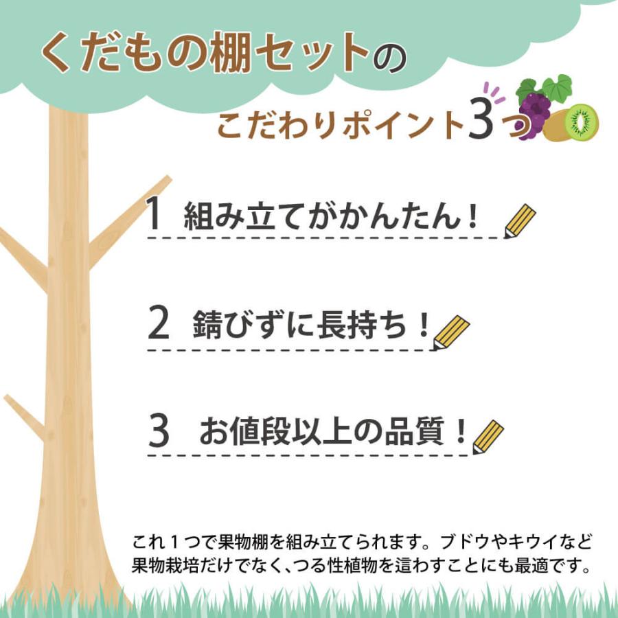 daim 果樹棚 くだもの棚セット KT-M 120 パーゴラ ガーデンアーチ 便利グッズ 果樹棚 くだもの棚 フルーツ棚 藤棚 ぶどう棚 第一ビニール diy キット 資材 | DAIM | 01