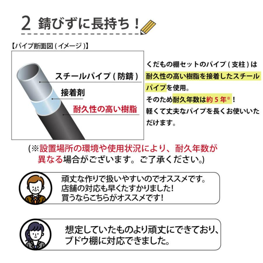 daim 果樹棚 くだもの棚セット KT-M 120 パーゴラ ガーデンアーチ 便利グッズ 果樹棚 くだもの棚 フルーツ棚 藤棚 ぶどう棚 第一ビニール diy キット 資材 | DAIM | 03