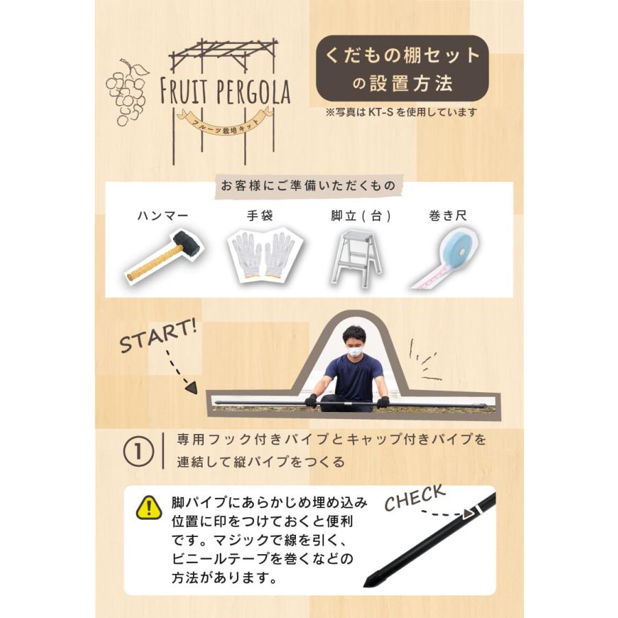 daim 果樹棚 くだもの棚セット KT-M 120 パーゴラ ガーデンアーチ 便利グッズ 果樹棚 くだもの棚 フルーツ棚 藤棚 ぶどう棚 第一ビニール diy キット 資材 | DAIM | 05