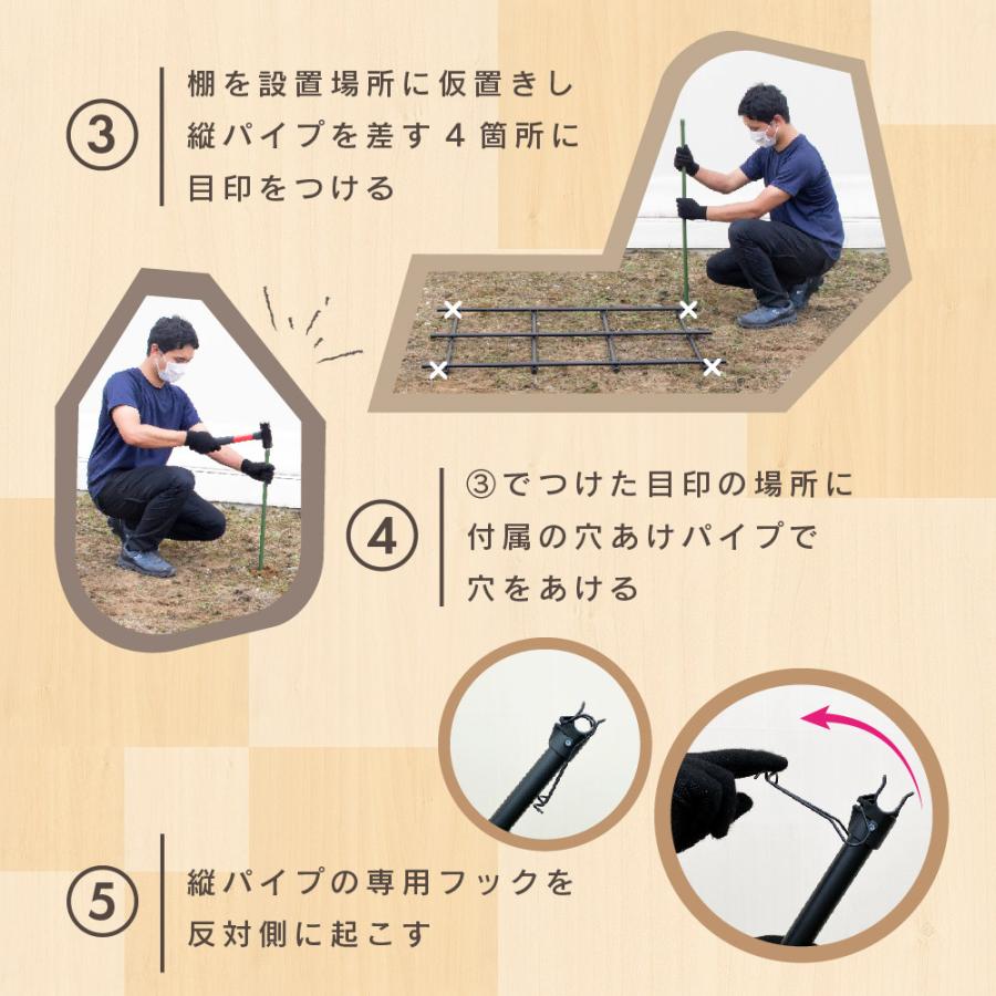 Daim くだもの棚セット Kt S フルーツ栽培キット 1cm 90cm A