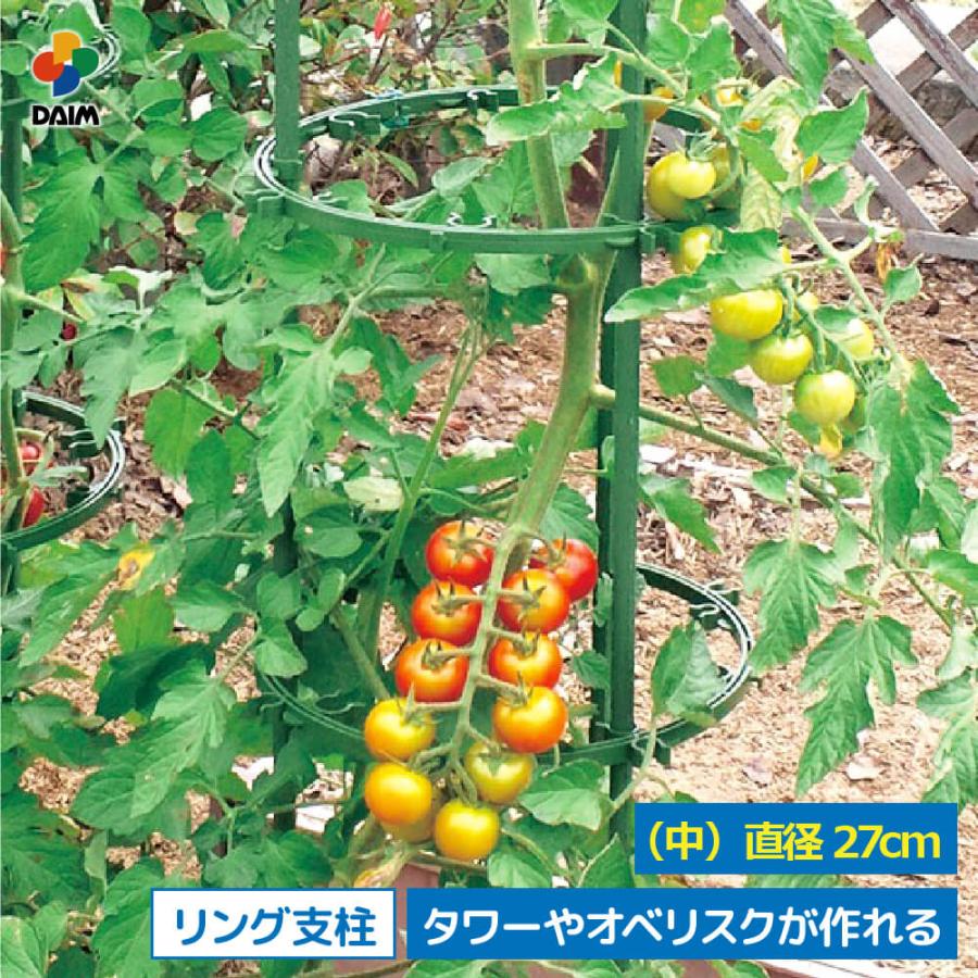 DAIM ダイムリング 中サイズ 直径27cm リング 朝顔 つる性植物