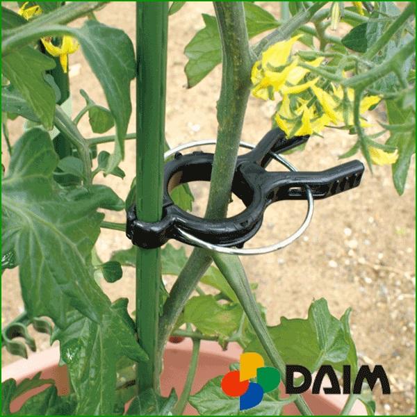 DAIM 茎止め 誘引 茎 8mm〜11mm支柱用 10個入 トマト 支柱 クリップ