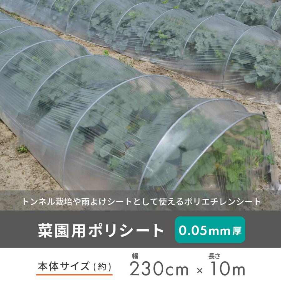daim 菜園用 ポリシート 0.05mm厚 230cm幅 10m 保温 雨よけ 保温シート ポリエチレン フィルム 第一ビニール トンネル栽培 家庭菜園 | DAIM | 01