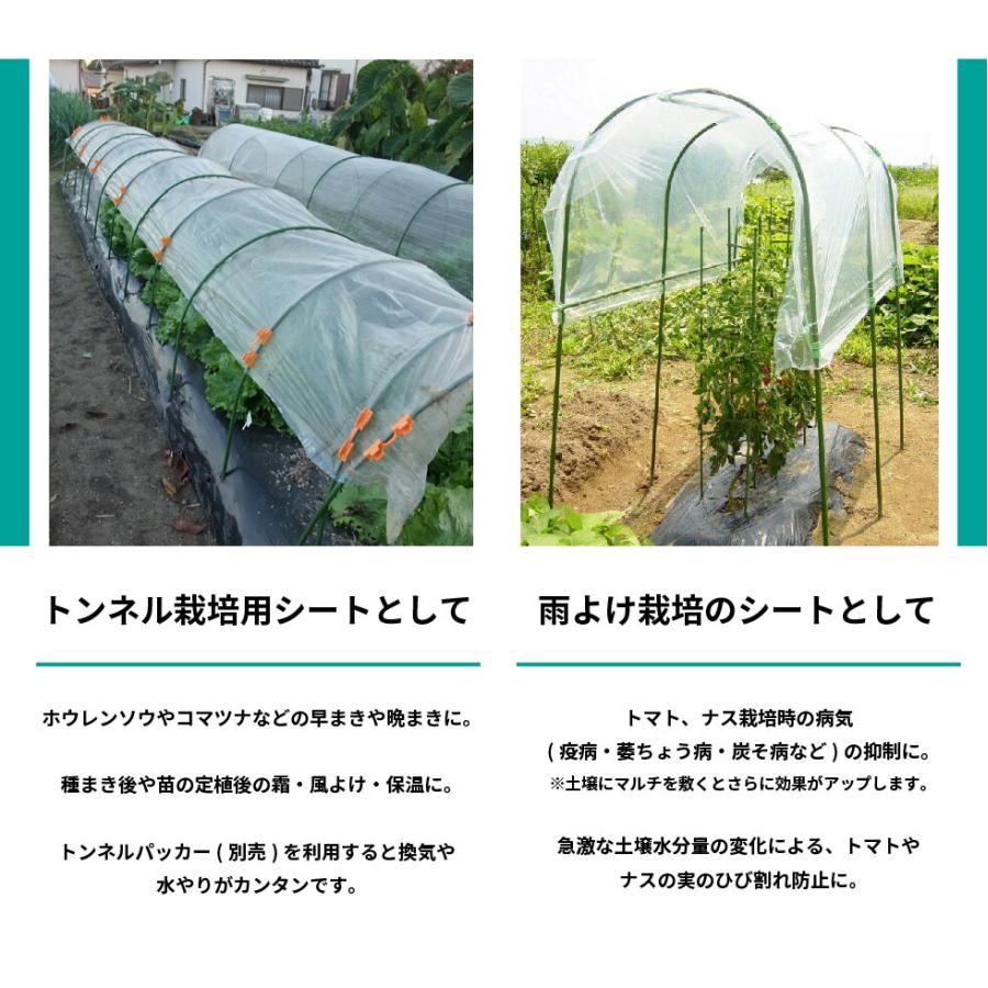 DAIM 菜園用 ポリシート 0.05mm厚 230cm幅 10m 保温 雨よけ 保温シート