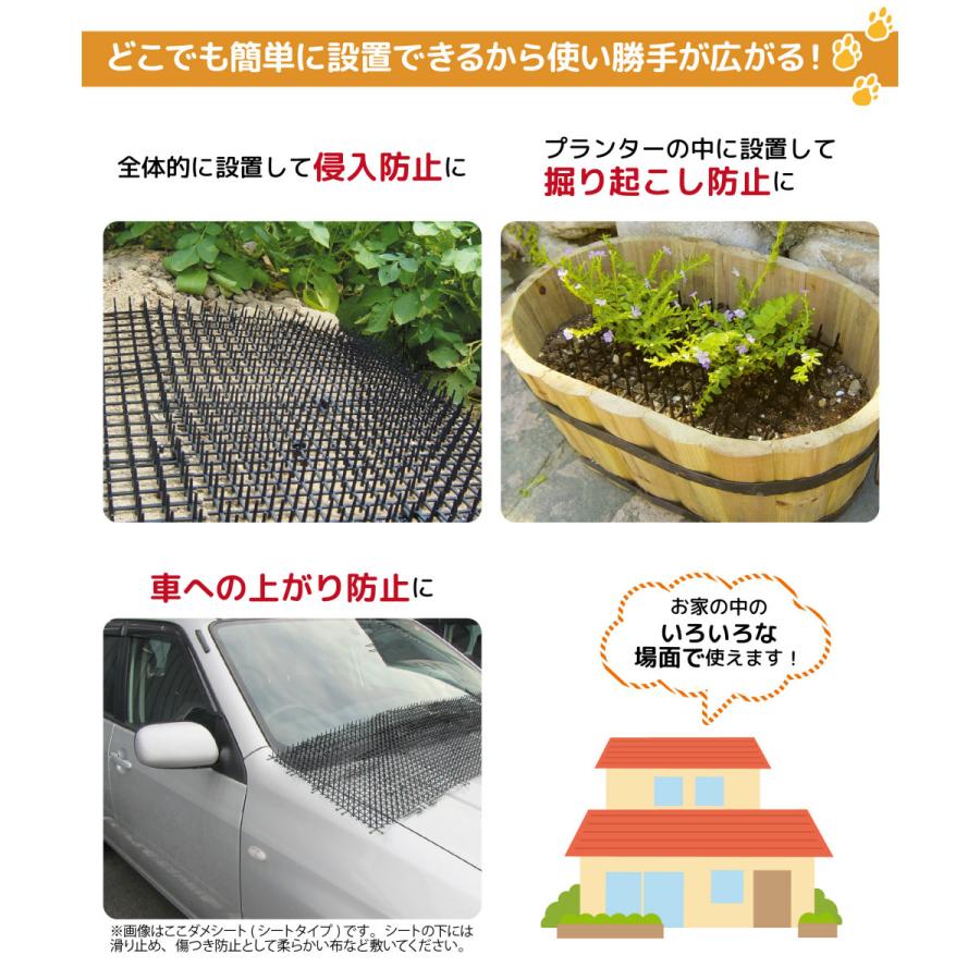 DAIM 猫よけシート 幅広 幅50cm 20m巻 トゲトゲ 庭 花壇 ここダメ