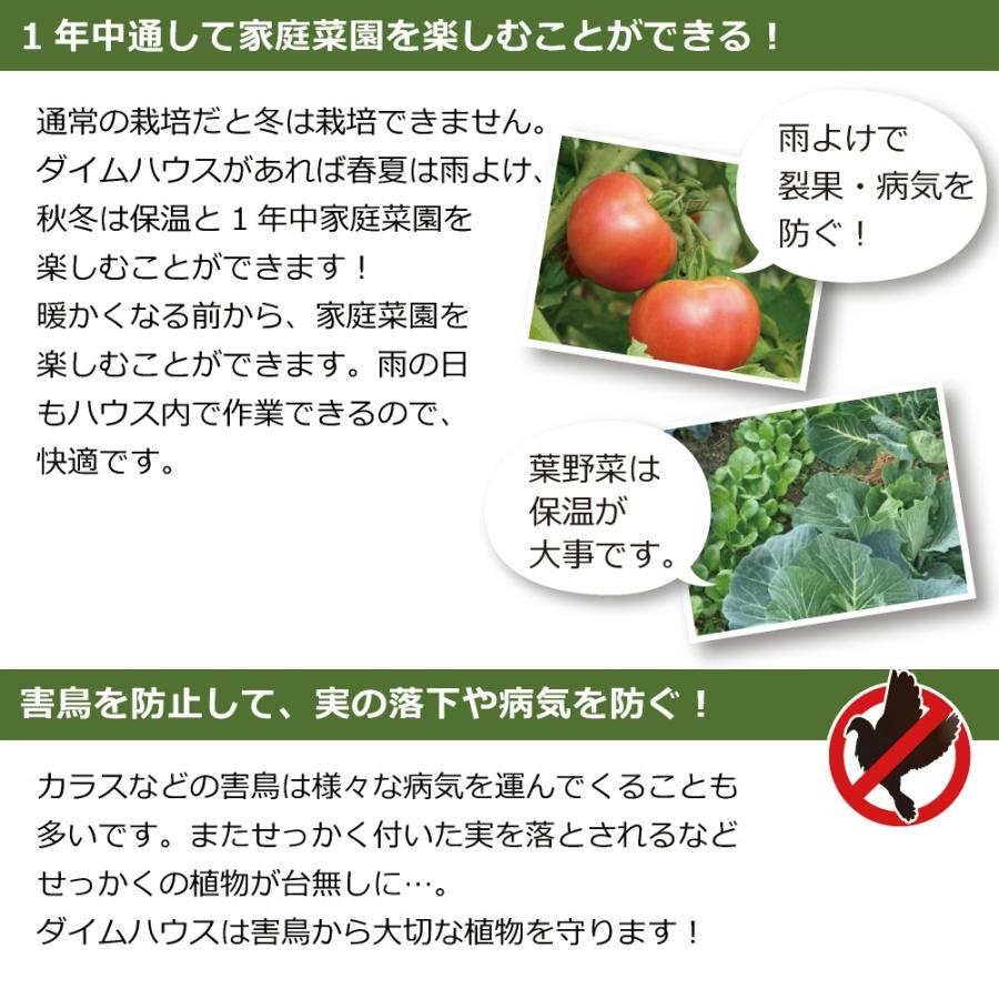 Daim ダイムハウス ファスナータイプ 5坪用 替えビニール付き ビニールハウス Diy 小型 家庭用 家庭菜園 雨よけ 保温 ミニハウス 菜園ハウス ビニール 送料無料 Set A メーカー直販 Daim Yahoo 店 通販 Yahoo ショッピング