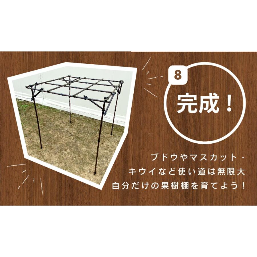 ぶどう棚 パーゴラ 果樹棚 2m×2m ガーデンアーチ キウイ棚 diy ガーデンアグリパイプ 果樹棚セットdaim 第一ビニール_11
