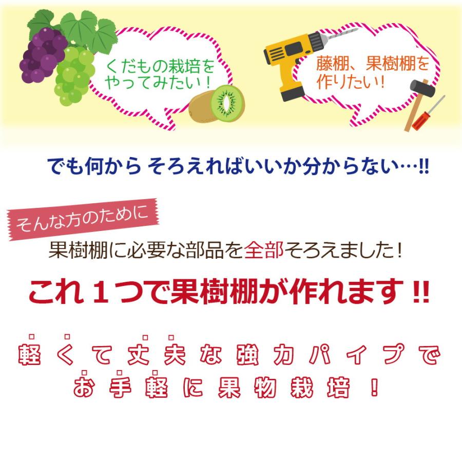 DAIM daim ガーデンアグリパイプ 果樹棚 セット 2m パーゴラ