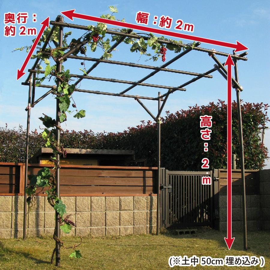 DAIM ぶどう棚 パーゴラ 果樹棚 2m×2m ガーデンアーチ キウイ棚 diy
