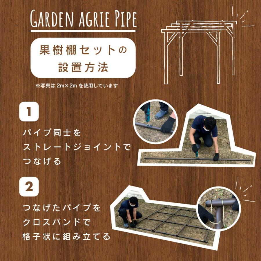 ぶどう棚 パーゴラ 果樹棚 2m×2m ガーデンアーチ キウイ棚 diy ガーデンアグリパイプ 果樹棚セットdaim 第一ビニール_8
