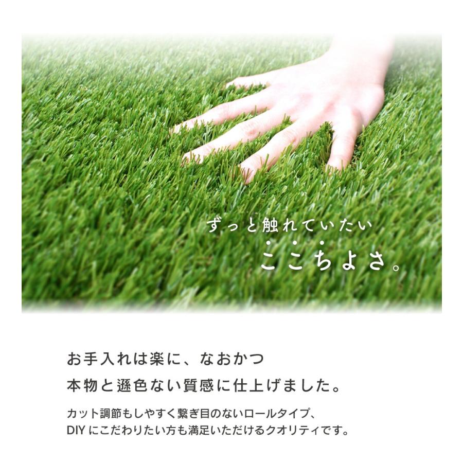 人工芝 2m×5m 2本セット C型 芝丈30mm 人工芝ロール diy 芝生 ドッグラン 人工芝生 リアル人工芝 daim 第一ビニールの画像