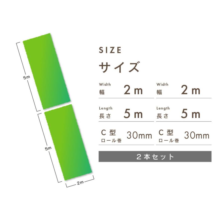 人工芝 2m×5m 2本セット C型 芝丈30mm 人工芝ロール diy 芝生 ドッグラン 人工芝生 リアル人工芝 daim 第一ビニールの画像