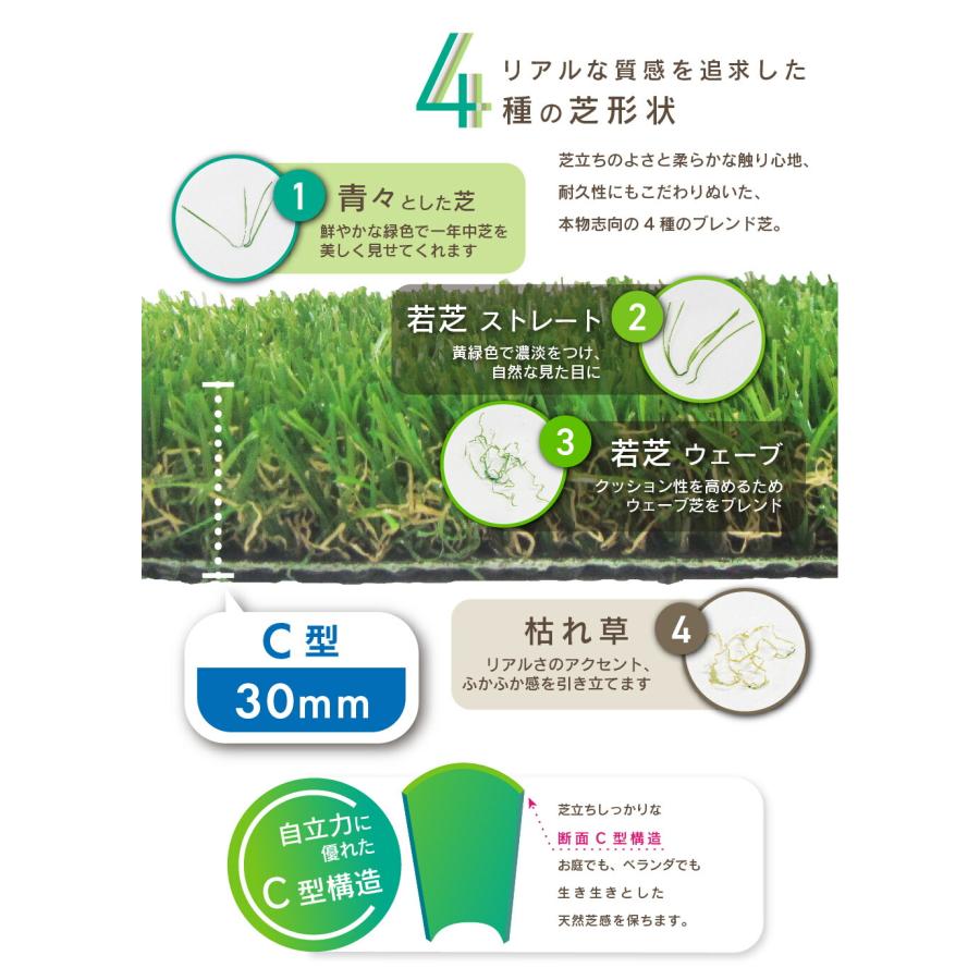 人工芝 2m×5m 2本セット C型 芝丈30mm 人工芝ロール diy 芝生 ドッグラン 人工芝生 リアル人工芝 daim 第一ビニールの画像