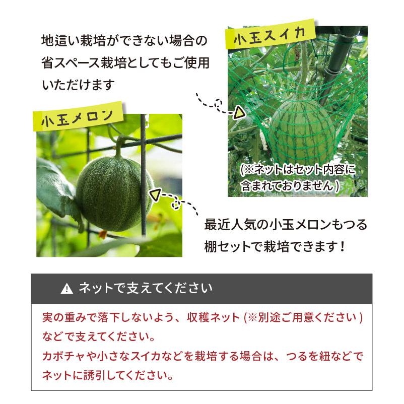 DAIM 空中栽培 つる棚セット 4セット入 つる野菜 家庭菜園 支柱