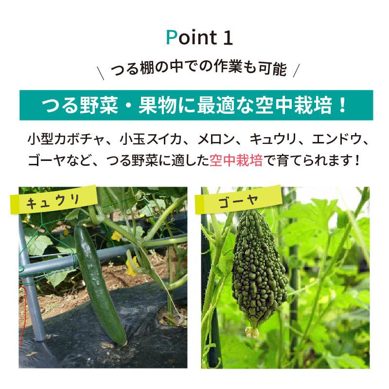DAIM 空中栽培 つる棚セット 1セット入 つる野菜 家庭菜園 便利グッズ