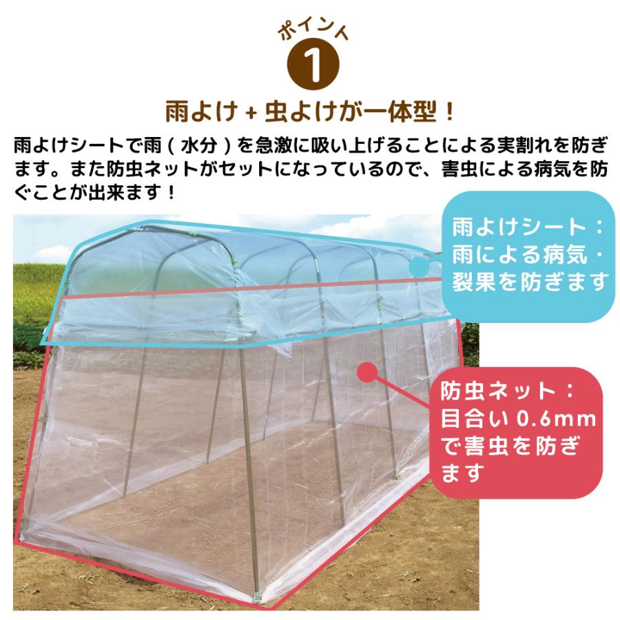 在庫処分 Daim 雨よけ虫よけミニ菜園ハウス ビニールハウス 小型 家庭菜園 トマト 雨よけ 雨除け 園芸 霜よけ 防虫 防鳥 組み立て式 畑 ガーデニングハウス 送料無料 Doulabrasil Com Br