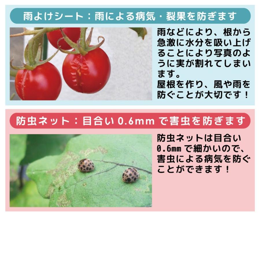 送料無料 雨よけと虫よけの一体型 Daim 雨よけ虫よけミニ菜園ハウス トマト 雨よけ 虫よけ 410 メーカー直販 Daim Yahoo 店 通販 Yahoo ショッピング