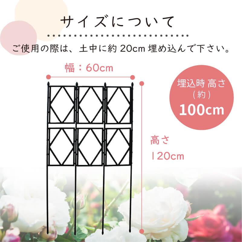 DAIM ローズトレリス 幅60cm 高さ120cm トレリス フェンス バラ バラの