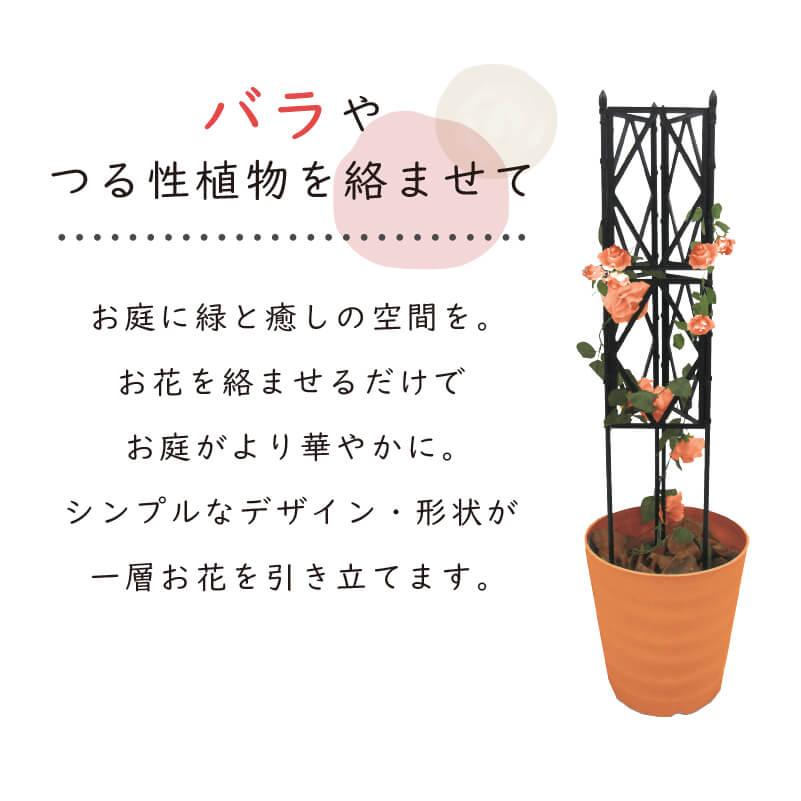 DAIM ローズトレリス 幅60cm 高さ120cm トレリス フェンス バラ バラの