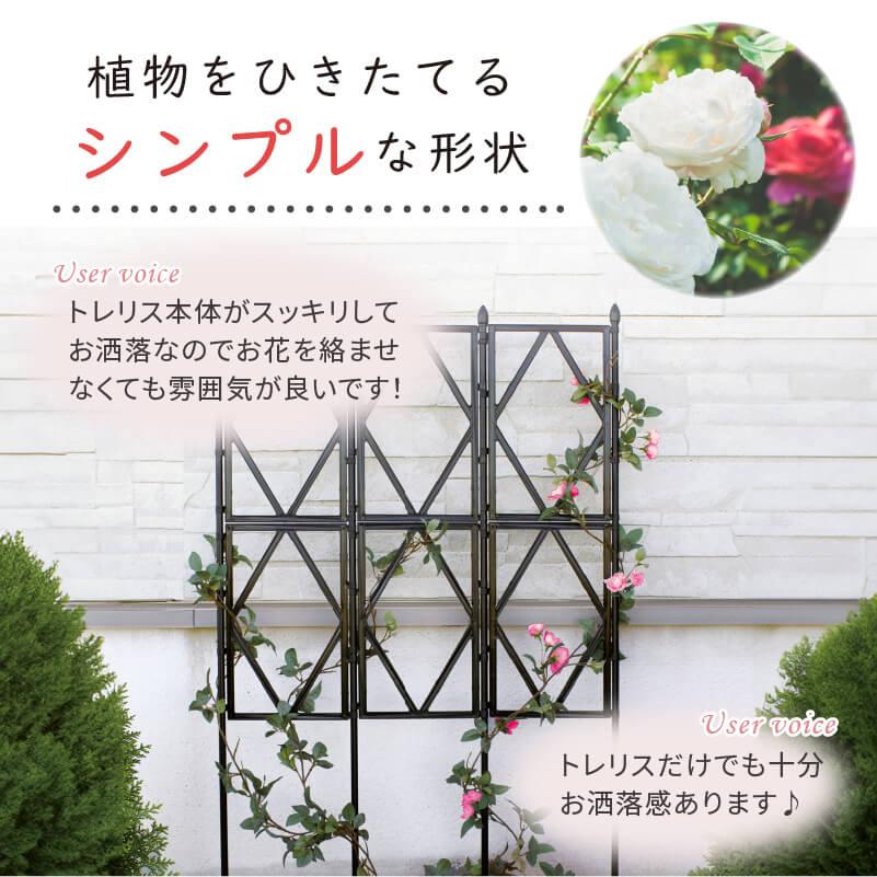 DAIM ローズトレリス 幅60cm 高さ120cm トレリス フェンス バラ バラの