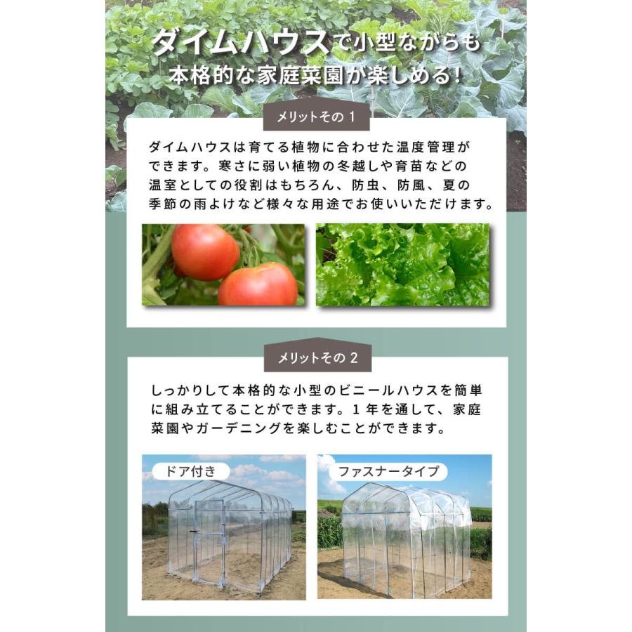 未使用未開封のビニールハウス(3坪) DAIM ビニールハウス 3坪 家庭用 小型 ドア付き 温室 DIY ダイムハウス