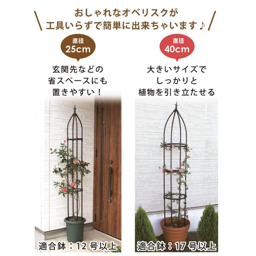 Daim 組立かんたんローズオベリスク 直径25cm 高さ170cm かんたん Diy ローズオベリスク オベリスク プランター 送料無料 ばら 激安特価品 シンプル 菜園 支柱 鉢 薔薇