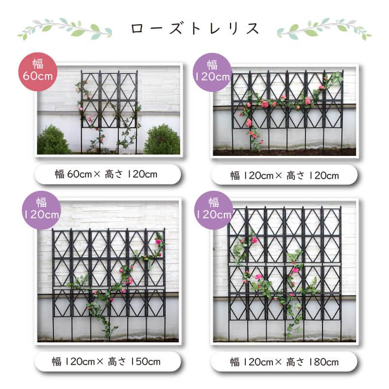 DAIM 組み立てかんたんローズオベリスク 直径40cm 高さ180cm diy