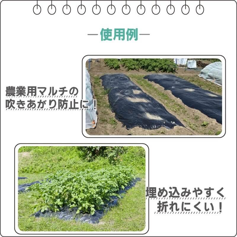 DAIM マルチキーパー 1000個入 マルチおさえ マルチ農業用 農業資材